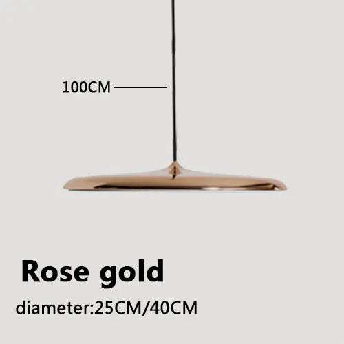 Mora Curve Acrylic Pendant Light – Minimalist – product detail 8
