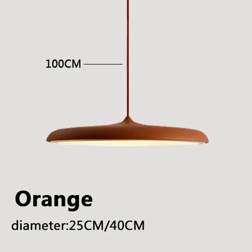 Mora Curve Acrylic Pendant Light – Minimalist – product detail 10
