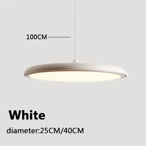 Mora Curve Acrylic Pendant Light – Minimalist – product detail 9