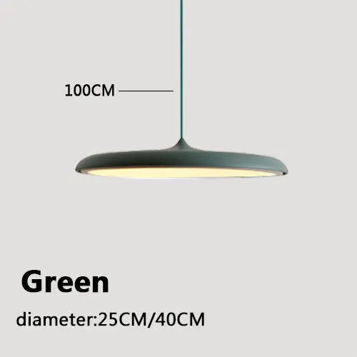 Mora Curve Acrylic Pendant Light – Minimalist – product detail 13