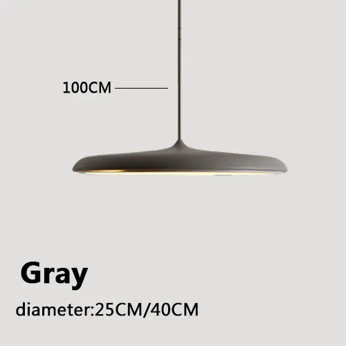 Mora Curve Acrylic Pendant Light – Minimalist – product detail 12