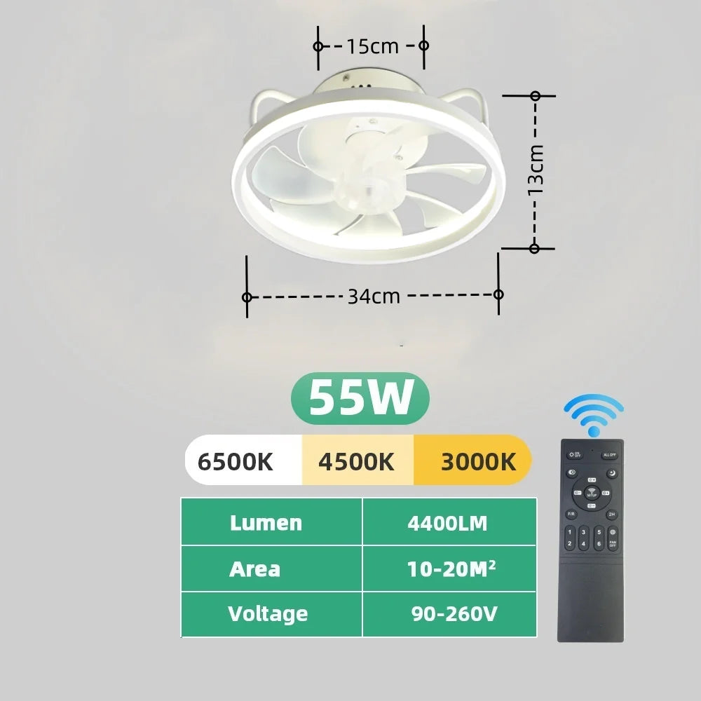 Ilaria 6-Speed Timer Ceiling Fan Light for Attic – DC Motor Remote