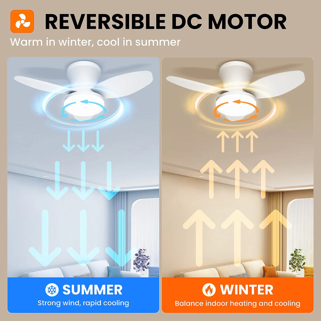 Doria Reversible Motor Ceiling Fan with Light for Bedroom & Living Room – Remote Control