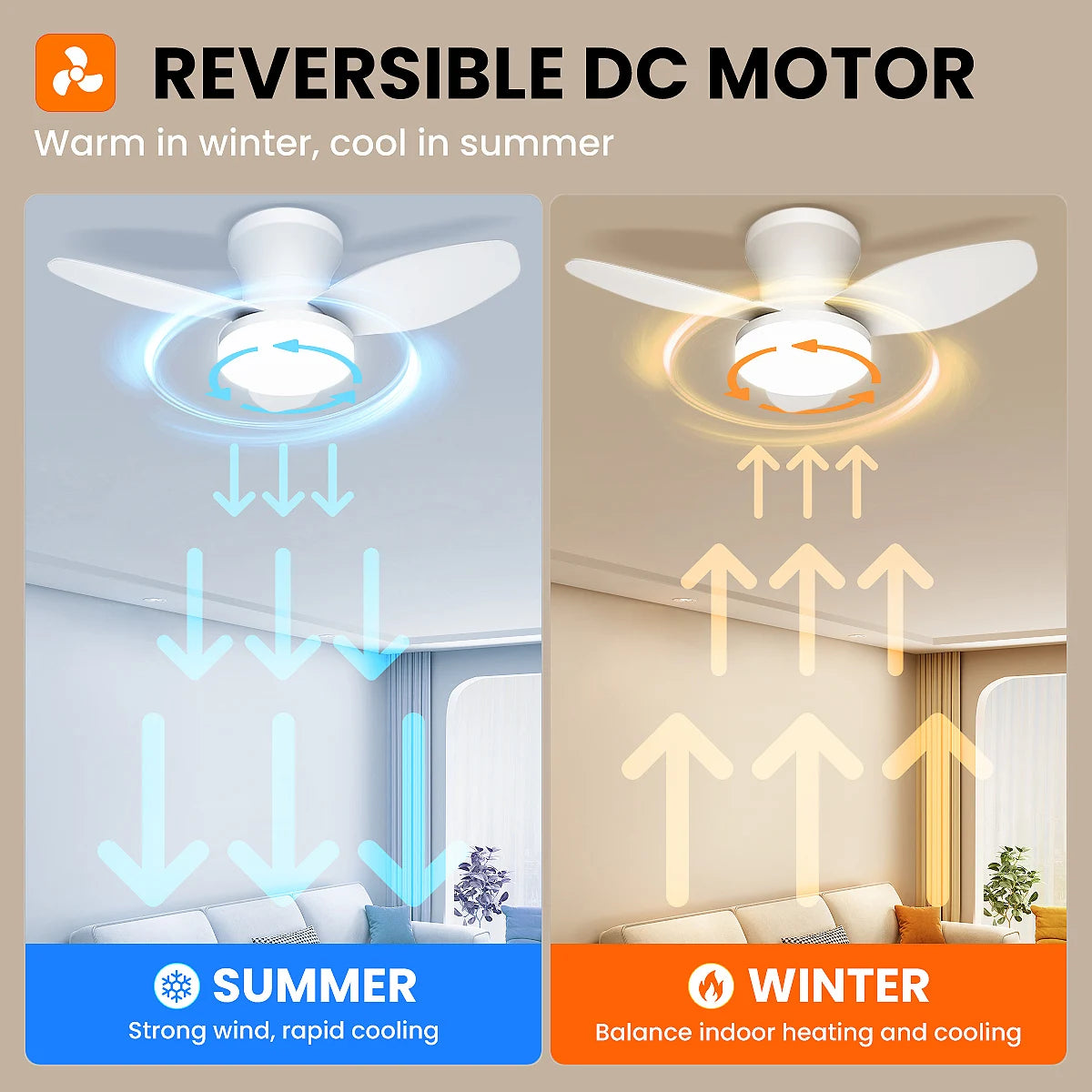 Doria Reversible Motor Ceiling Fan with Light for Bedroom & Living Room – Remote Control