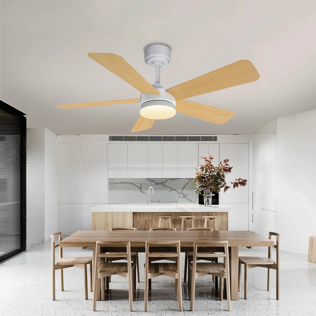 Orlena 40/52-Inch Black Ceiling Fan with Light – Remote Control