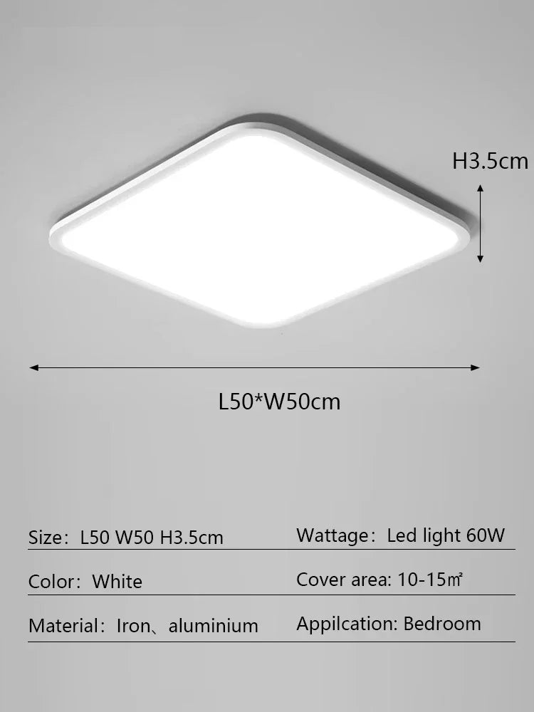 Noemi Halo Aluminum Ceiling Light