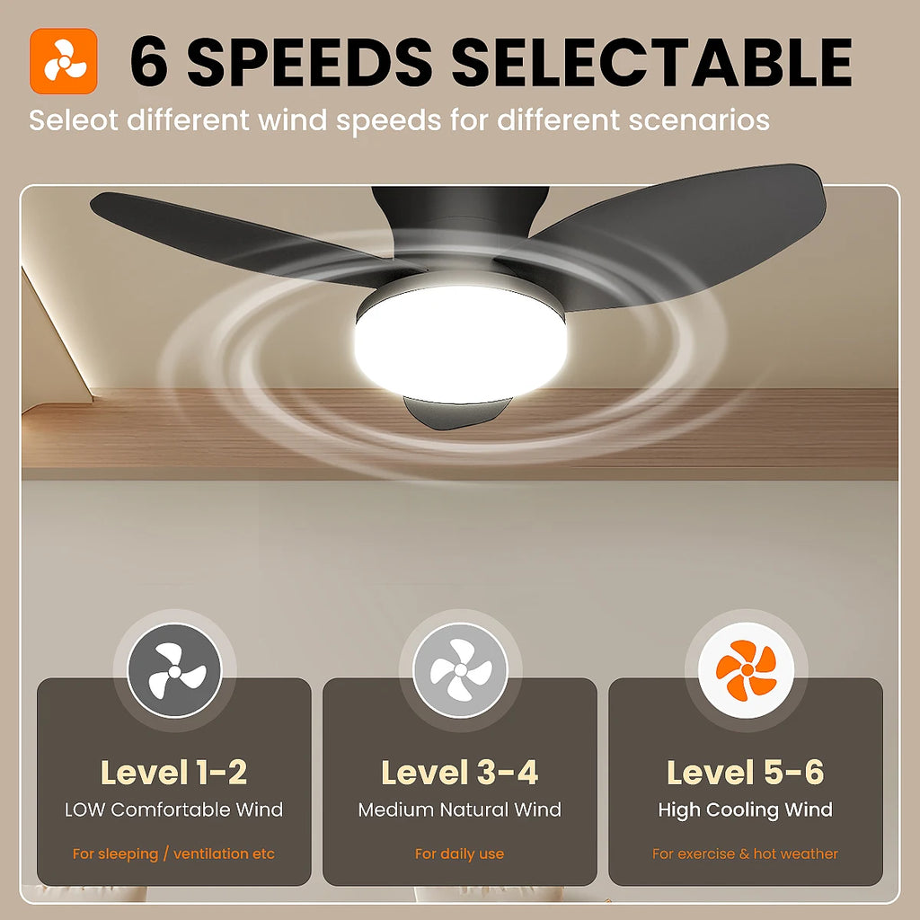 Doria Reversible Motor Ceiling Fan with Light for Bedroom & Living Room – Remote Control