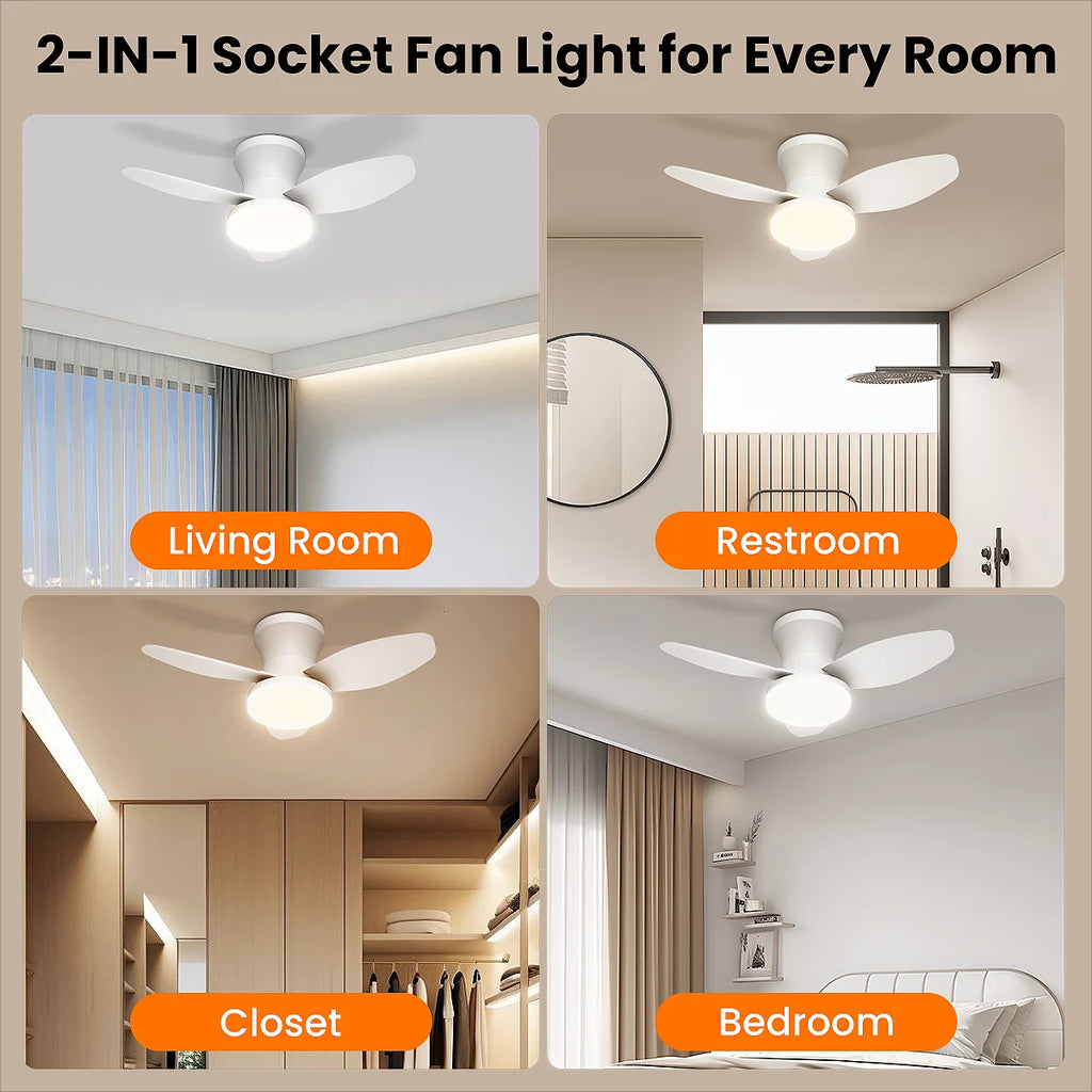 Doria Reversible Motor Ceiling Fan with Light for Bedroom & Living Room – Remote Control