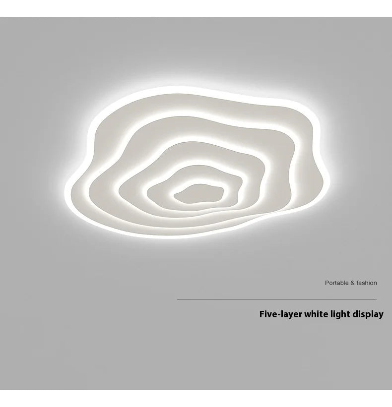 Floris Halo Sculptural Metal Ceiling Light – product view 5